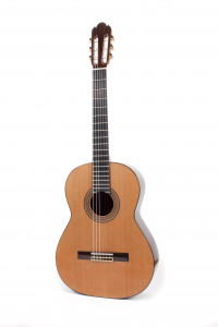 guitar antonio sanchez 1020
