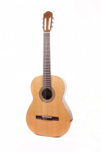 guitar antonio sanchez s20 cw