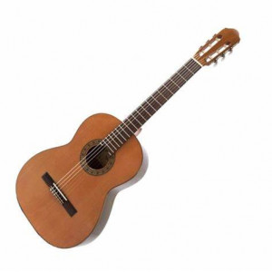 guitar raimundo 126