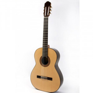 guitar raimundo 129