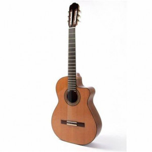 guitar raimundo 610e
