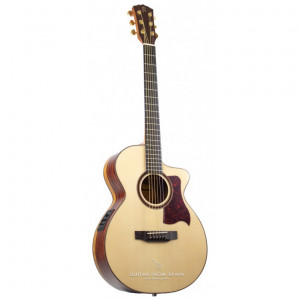 guitar raimundo ms801ce