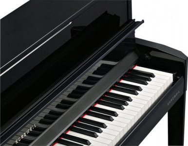 پیانو کورزویل cup1